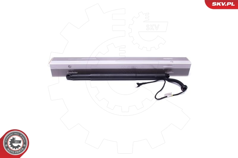 Electric Motor, tailgate